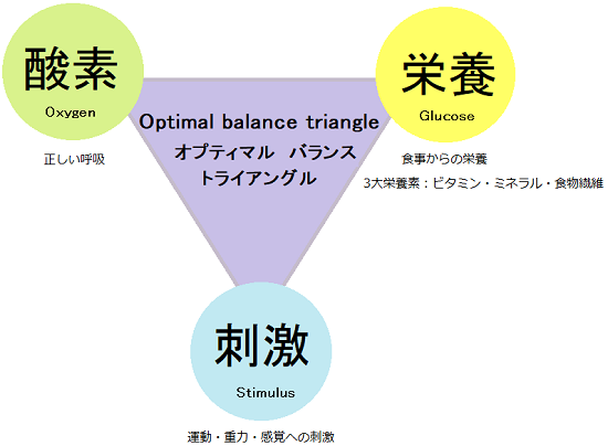 オプティマルバランストライアングル